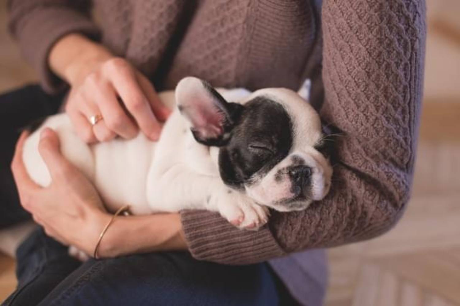 CC0 Public Domain via Pexels
